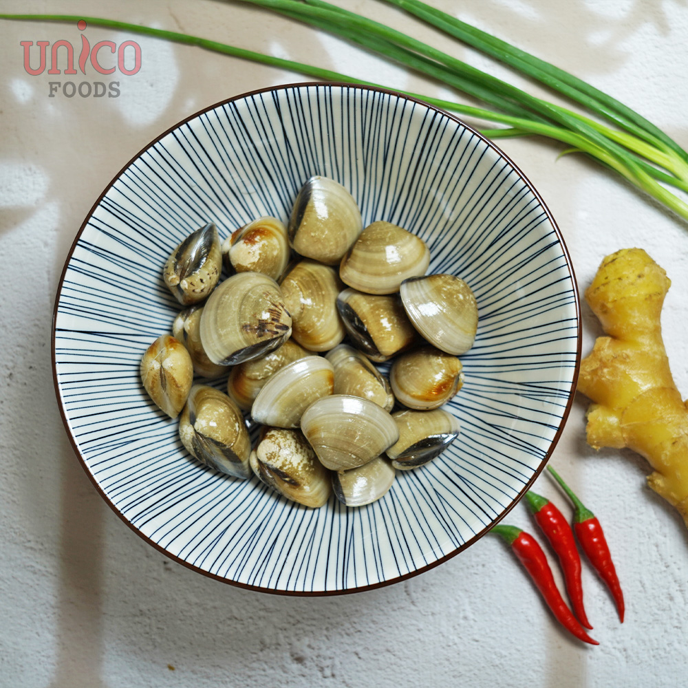 White Clam