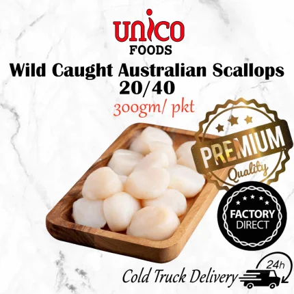 Wild Caught Australian Scallops 20/40 (300gm) | 澳大利亚扇贝带子